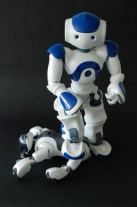 naoandaibo2