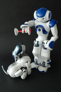 naoandaibo3