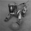 Aibo picture used in the experiment
